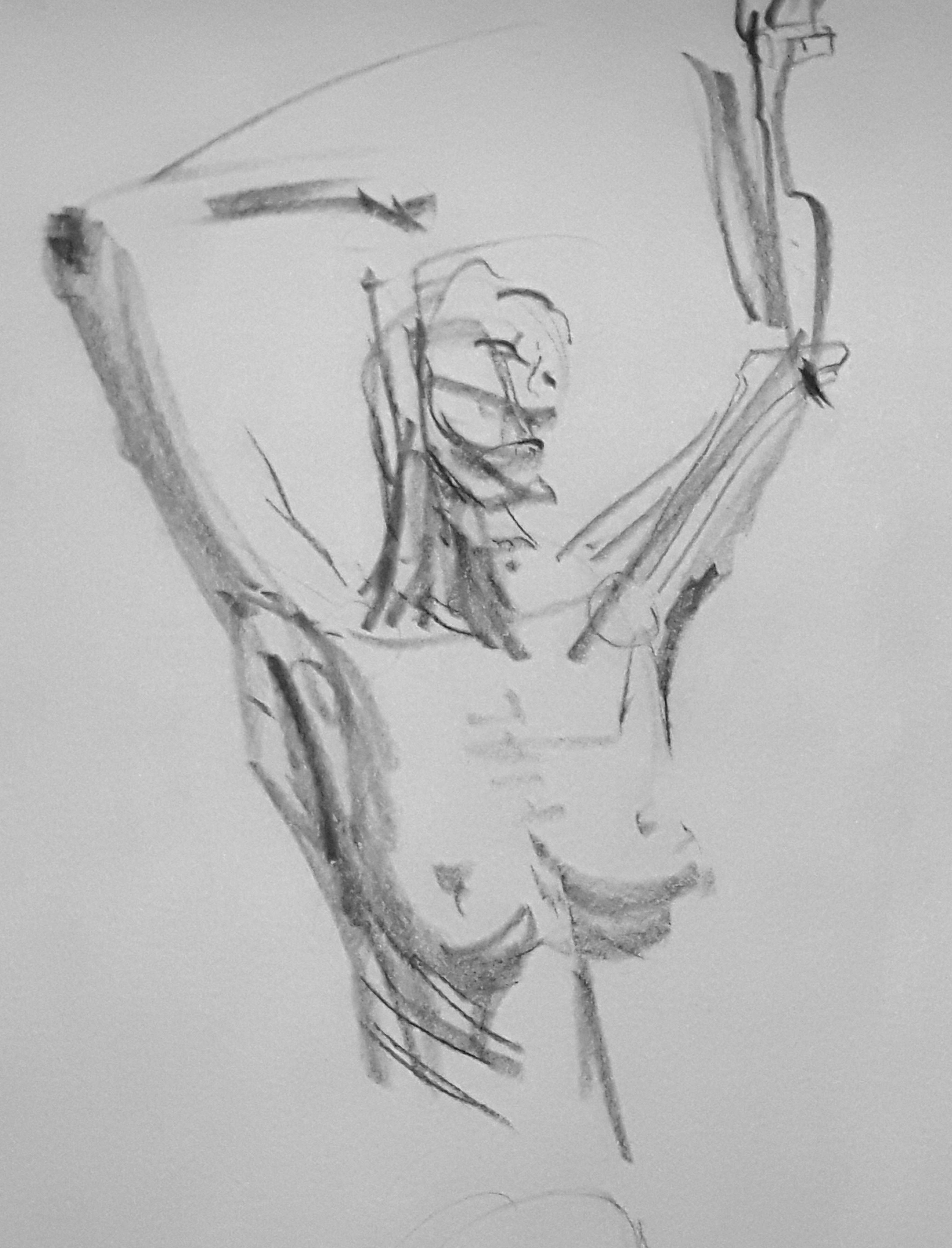 fig2