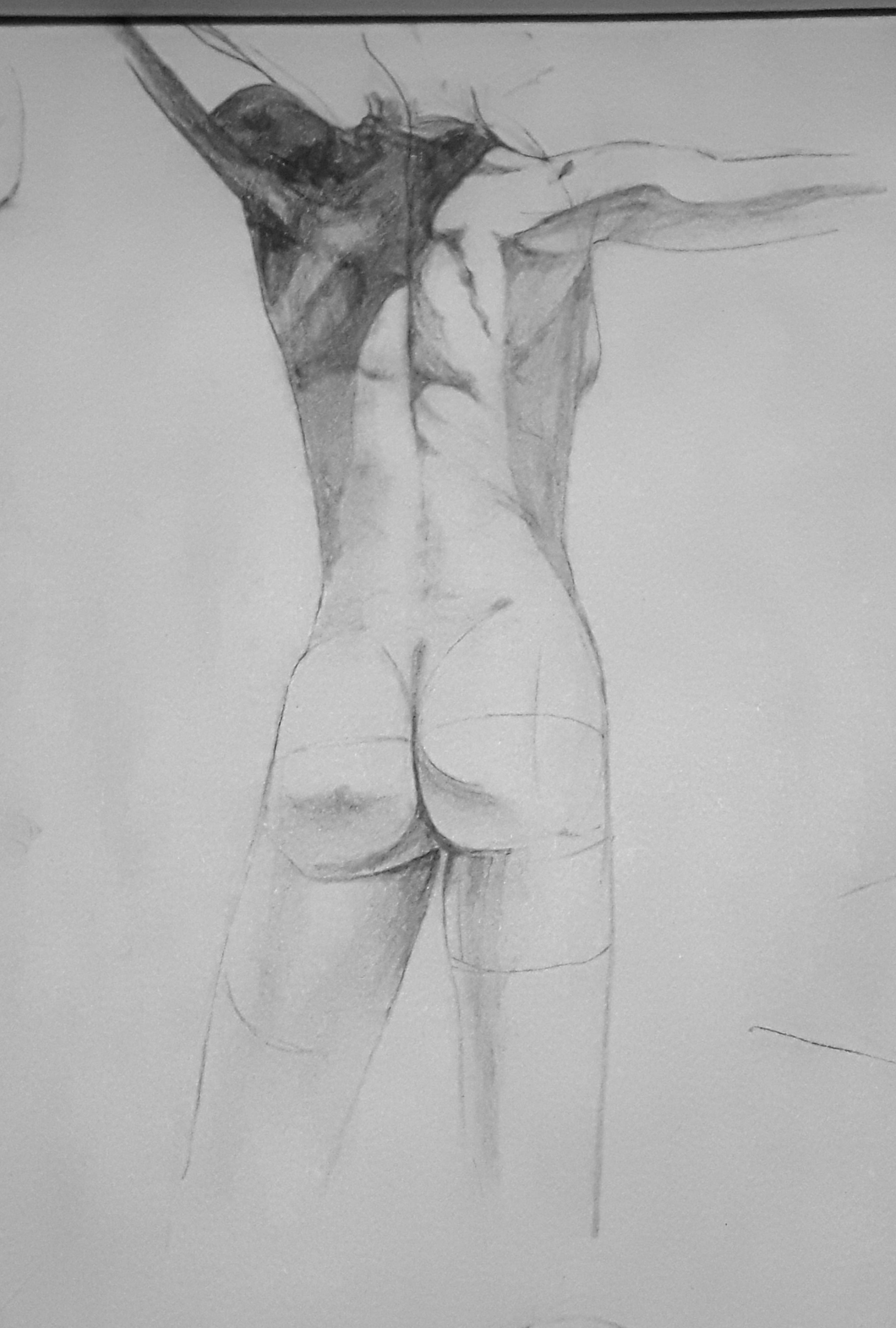 fig7